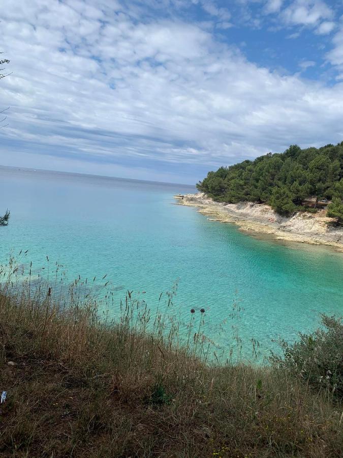 Augusta Διαμέρισμα Πούλα Εξωτερικό φωτογραφία